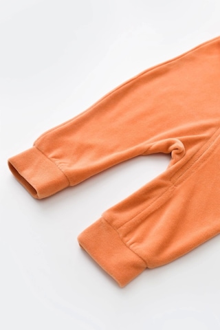 BabyCosy Bebek Kadife Fermuarlı Tulum, %80 Organik Pamuk, Bebek Ve Yenidoğan Serisi - Csyk6030 Karışık