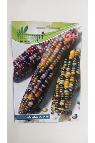 Bykurt Sunagri Renkli Mısır Tohumu - Bahçe Ve Tarla İçin, İlkbahar-yaz Ekimi, Yüksek Verimli
