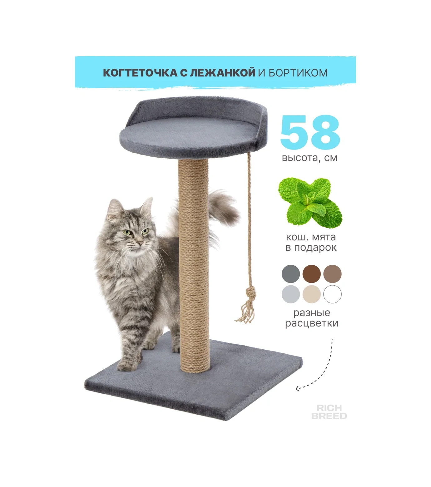 Rıch Breed Kedi Tırmalama Direği Masası Zeminli Dinlenme Yatağı 74629154