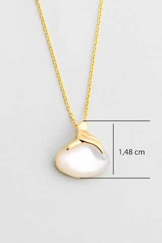 Sedef Taşlı 18 Ayar Sarı Altın Kaplama 42 Cm Gümüş Kolye Sarı