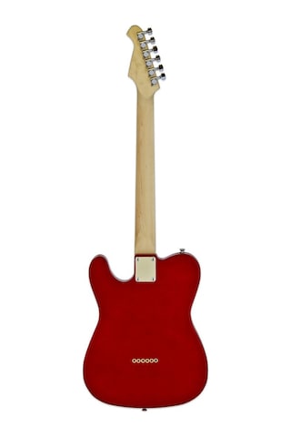 Aria Pro Iı Teg002ca Elektro Gitar Ss Rw Tele