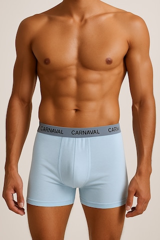 Carnaval Socks Erkek Boxer 5 Li Set Carnaval Cloud Blue Çoklu