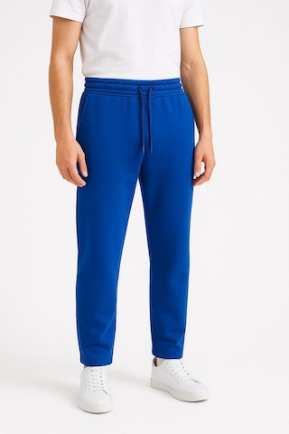 Erkek Düz Paça 3 İplik Şardonlu Rahat Kesim Premium Kumaş Eşofman Altı Saks