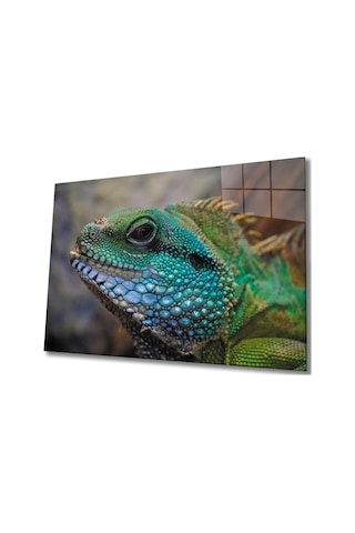 İguana Cam Tablo Evlika