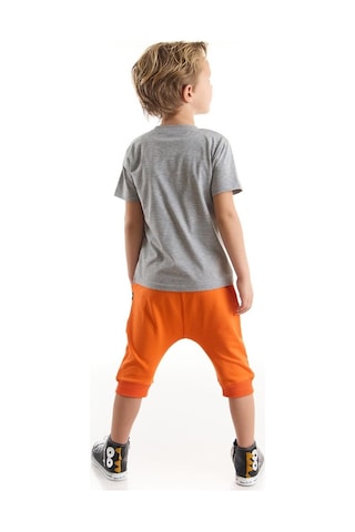Denokids Yo Kaplan Erkek Çocuk T-Shirt Kapri Takım Çok Renkli