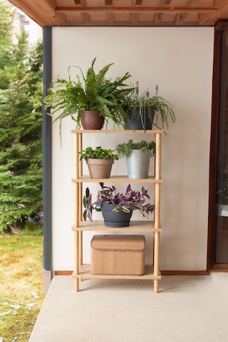 Concept 3 Raflı Organizer Balkon Banyo Kitaplık Mutfak Dolabı Ofis Düzenleyici Ahşap Nature