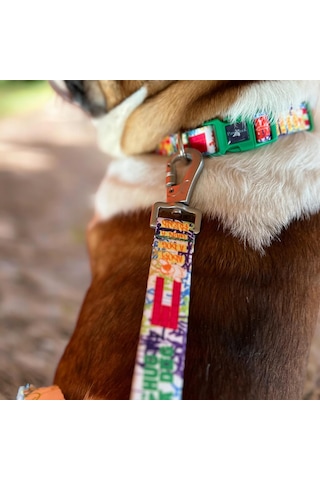 Design Köpek Gezdirme Kayışı Geri Dönüştürülmüş, Kadifemsi Dokulu, Çift Kilitli Karabina Kanc