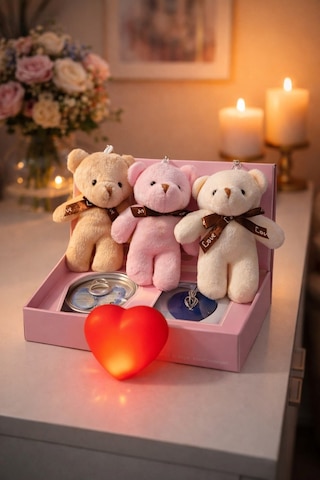 Sevgililer Gününe Romantik 3 Lü Hediye Seti İstiridye İnci Kolye 3 Adet Mini Peluş Ayı & Işıklı Kalp Çok Renkli