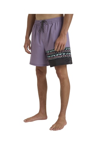 Bıllabong Billabong Burleigh Lb Erkek Mor Volley Short Lvn Mor