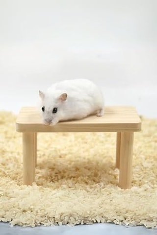Ayrex Hamster Ahşap Oyun Platformu - Kafes Aksesuarı Ve Yem Standı