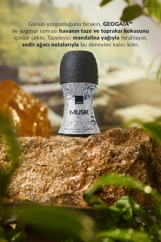 Musk Rain Erkek Roll-on 50 Ml.