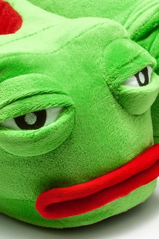 Twigy Frog Unisex Hayvanlı Panduf Yeşil 36/41 CC0550 Yeşil