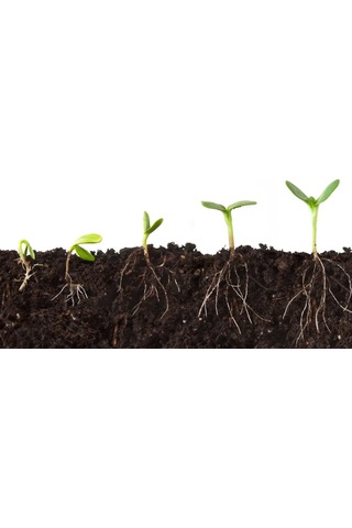 Leonardit 3 KG Doğal Toz Leonardit Organik Toprak Düzenleyici Leonardit Gübre Köklendirici Doğal Gübre