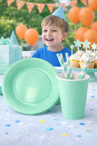 Beysüs Mint Yeşili 8li Tabak Bardak Set