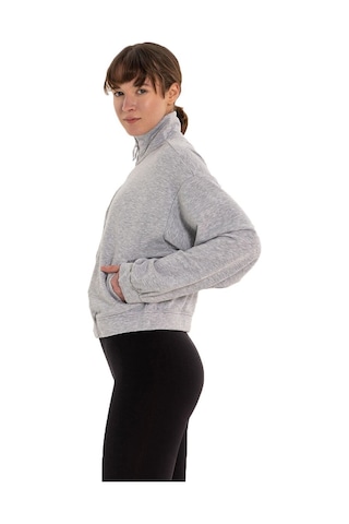 Inguz Dik Yaka Fermuarlı Sweatshirt Gri