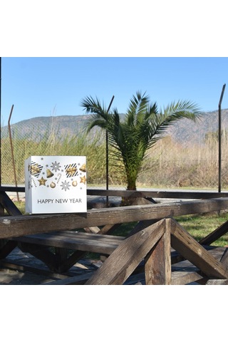 Demonte Beyaz Yılbaşı Kutusu 15x15x10cm 5'li