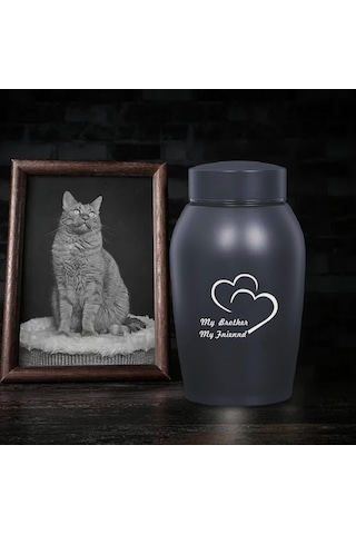 Homyl Pet Urn Saklama Kabı Tavşan Köpekler Kediler Stil-a Altın