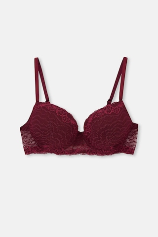 Eros 1210 Salvia Boş Cup Sütyen Külot Takım Bordo V3