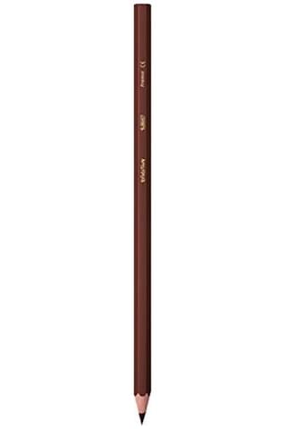 Bic Kids Evolution Kuru Boya Kalemi 24+1'li Metal Tüp Diğer