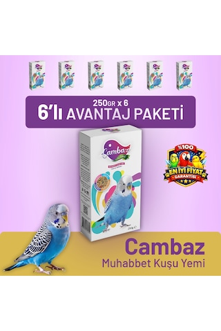 Cambaz Muhabbet Kuşu Yemi 250 G - 6 Adet 250 G