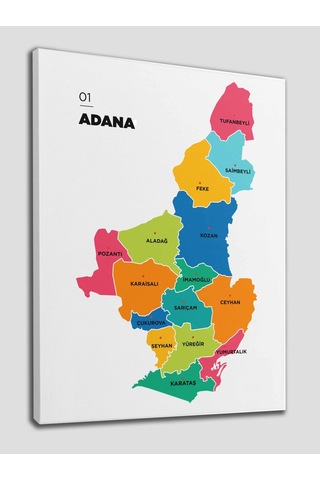 Doğaltercih Adana İli ve İlçeler Haritası Dekoratif Kanvas Tablo 1248