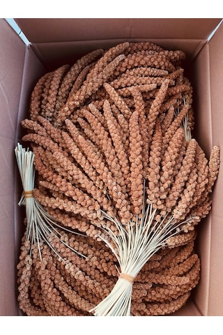 Murtcu Kızıl Dal Darı Protein Deposu Organik Kuş Yemi 1 Kg