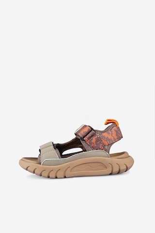 Vicco Konan Erkek Çocuk Sandalet Kahverengi