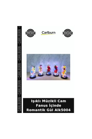 Işıklı Müzikli Cam Fanus İçinde Romantik Gül Gece Lambası Sevgiliye Sürpriz Anlamlı Hediye