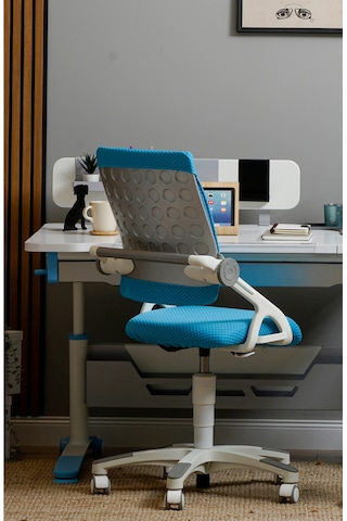 Creo Mobili Yükseklik Ve Sırt Ayarlı Sirius Çalışma Sandalyesi Ofis Ve Bilgisayar Koltuğu Mavi/mavi Gri