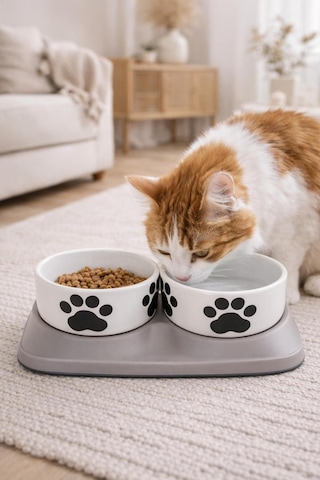 Premium Yükseltilmiş İkili Seramik Kedi Mama Ve Su Kabı
