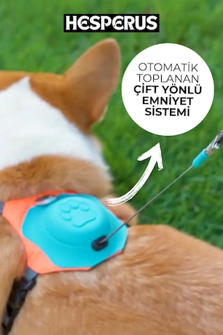 Hesperus Köpek Tasması Gövdelik Ve Göğüslük Otomatik Mavi-xs Mavi