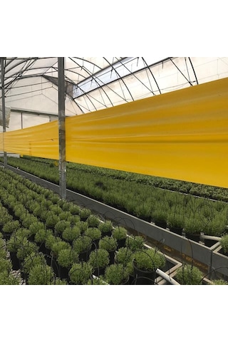 Roll Trap Sarı Rulo Yapışkanlı Si Nek Tuzağı 15 Cm X 50 M