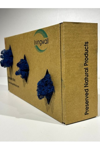 Reindermoss Şoklanmış Norveç Yosunu Terarium Yosunu Mavi 500 Gr.