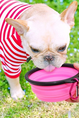 Katlanabilir Silikon Seyehat Pratik Köpek Kedi Mama Ve Su Kabı 350 ML