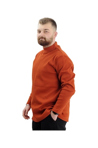 Mode Xl Büyük Beden Uzun Kol Yarım Balıkçı Kazak 22558 Tarçın Taba