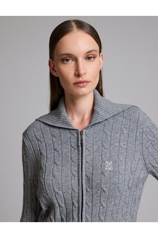 Pierre Cardin Antrasit Regular Fit Triko Hırka 50331513-vr006