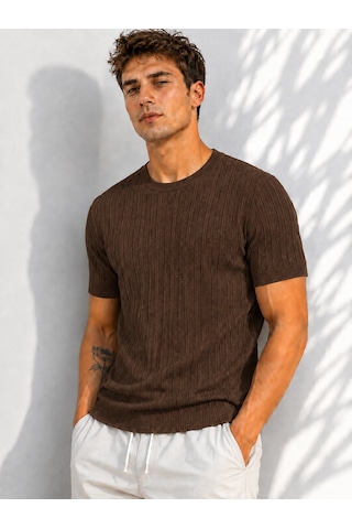 Ribana Erkek Bisiklet Yaka Kısa Kollu Esnek Örme Triko T-shirt 26091 Kahverengi