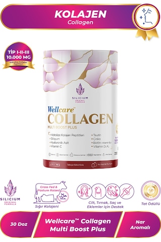 Wellcare Collagen Multiboost Plus Toz Nar Aromalı 345 Gr