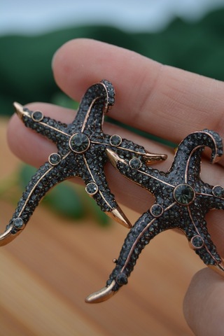 Stoneage Deniz Yıldızı Zirkon Taşlı Bayan Küpe Madeni Bronz Çok Renkli