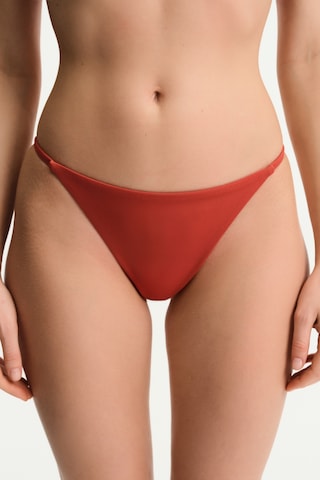 Penti Tarçın Super Brazilian Bikini Altı