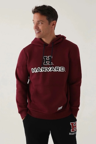 Harvard Erkek Tek Üst - K.kızıl Kahve K.kızıl Kahve