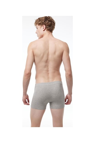 Malabadi 058 Erkek Modal Likralı Boxer-Gri