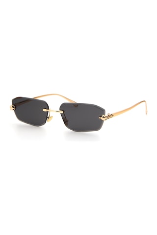 Falenti Ae2502-c1 56 Unisex Güneş Gözlüğü Siyah
