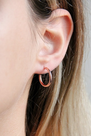Argentum Concept - Gümüş Rose 13 Mm Halka Küpe - K094401