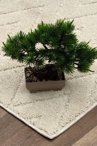 Raschel Carpet Kaymaz Taban Moopy Krem Bukleli Yumuşak Soft Dokuma Yolluk Halı Antialerjik Yolluk Lp6497a Krem Krem