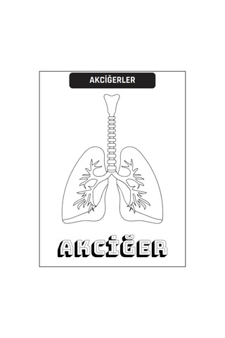 Çocuklar İçin Anatomi Boyama Kitap Seti 2 Süper Kitap