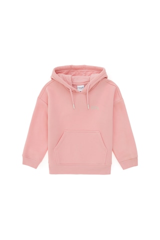 U.S. Polo Assn. Kız Çocuk Pudra Basic Kapüşonlu Sweatshirt 50297438-VR042
