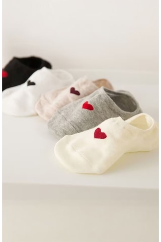 Hitit Socks Kadın 5 Çift Boğazı Olmayan Ayakkabıdan Görünmeye... Çok Renkli