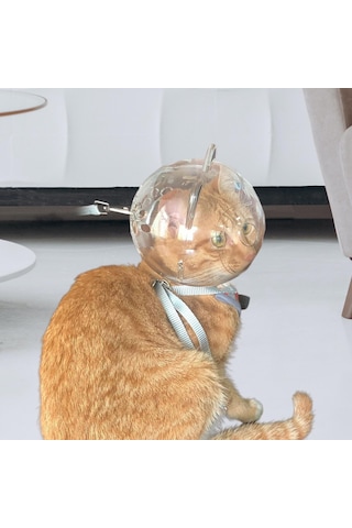 Homyl Namlu Tırnak Kırpma Kısıtlama Açık Görünüm Anti