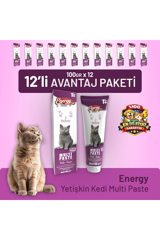 Yetişkin Kedi Multi Paste 100 G - 12 Adet